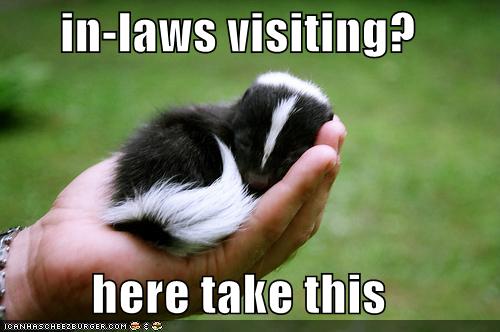 In-laws skunk